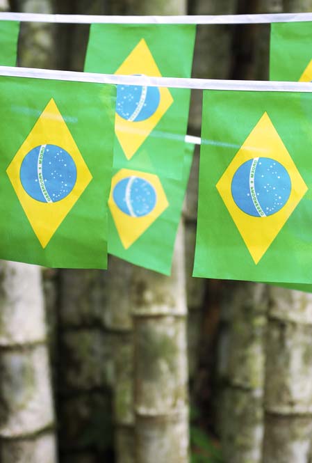 Bandeirinhas do Brasil para uma decoração suspensa