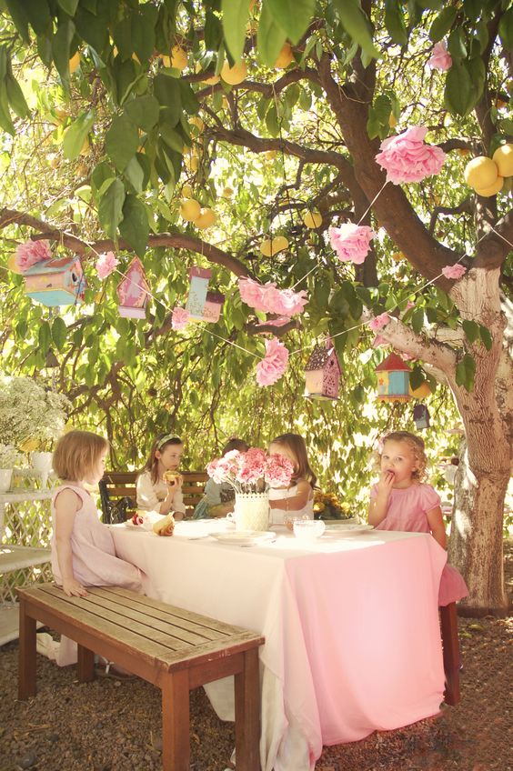 Imagem6