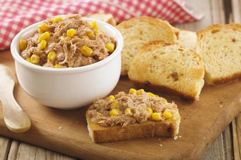 16 receitas de patê de atum deliciosas para você tentar em casa 16 receitas de patê de atum deliciosas para você tentar em casa