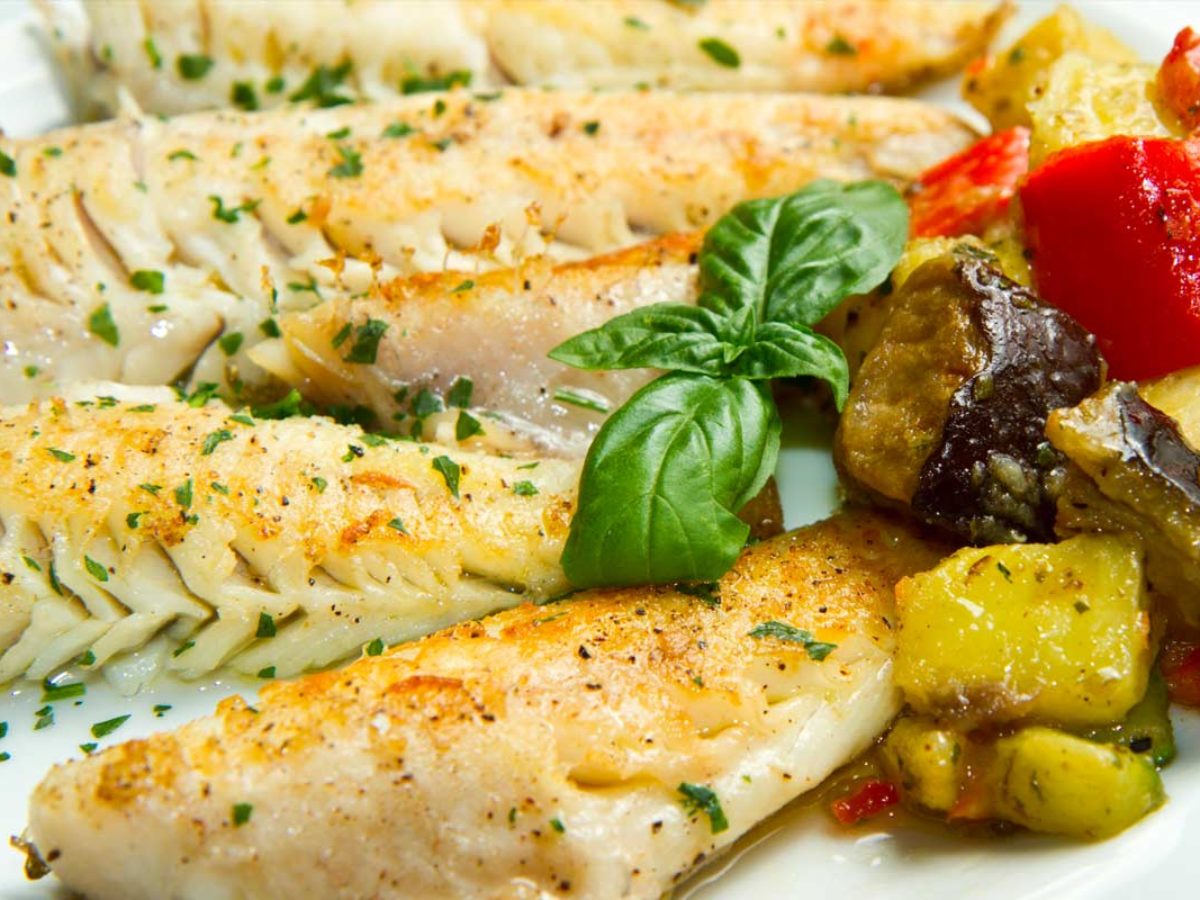 Direto Patrocinar Dente pratos com tilapia grávida calçada silêncio