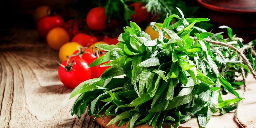 Confira as melhores receitas com estragão