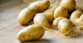 Confira as melhores receitas de batata em conserva