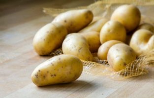Confira as melhores receitas de batata em conserva