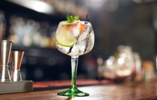 Confira as melhores receitas de drinks com gin