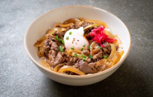 Veja as melhores receitas de Gyudon para experimentar em casa